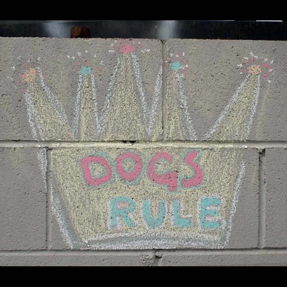 VINTAGE OOAK Tee Girls Suck! - Picture 4 of 5